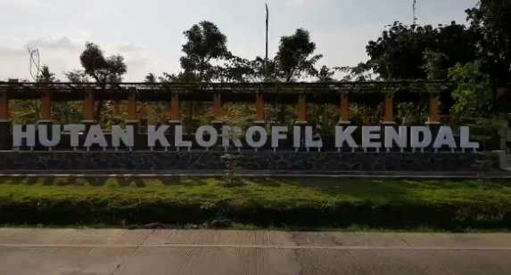 Taman Hutan Klorofil