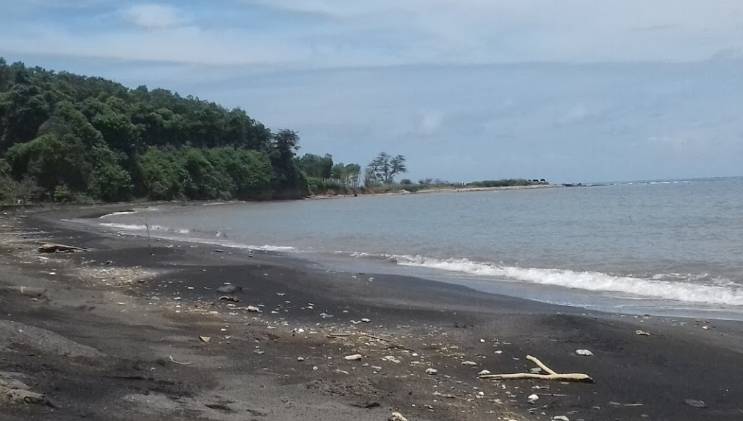 Pantai Banyutowo