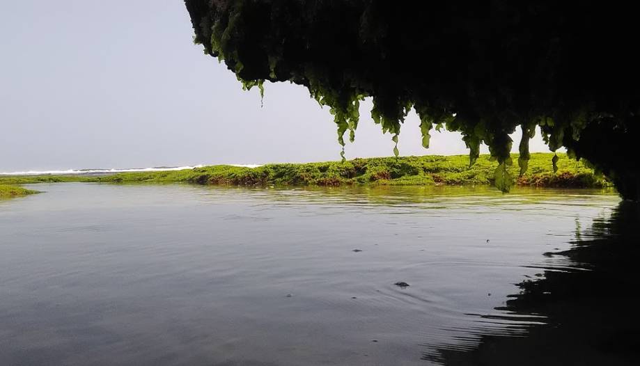 Penginapan Dekat Pantai Pringjono