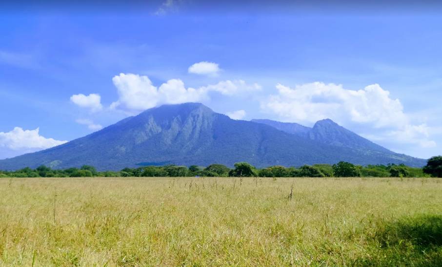 Taman Nasional Baluran