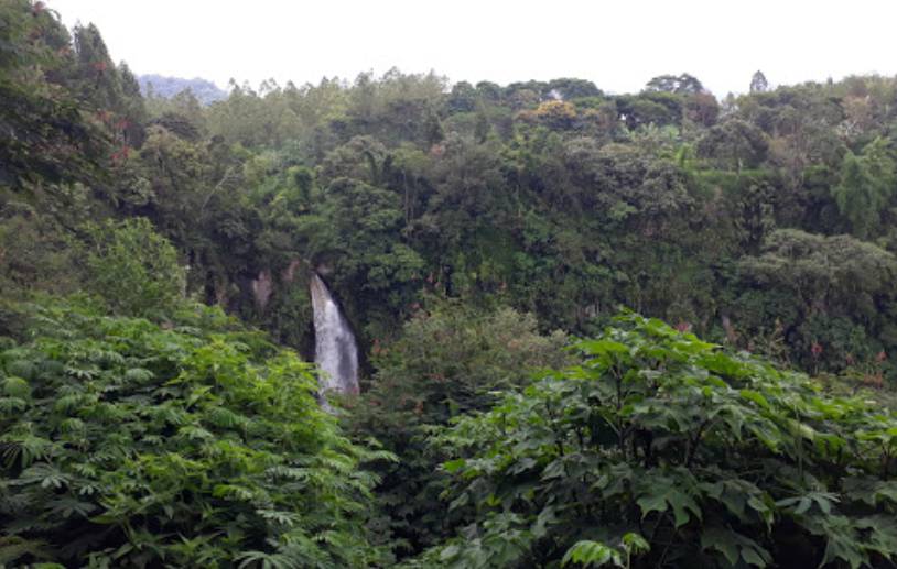 Spot Fotografi di Coban Talun